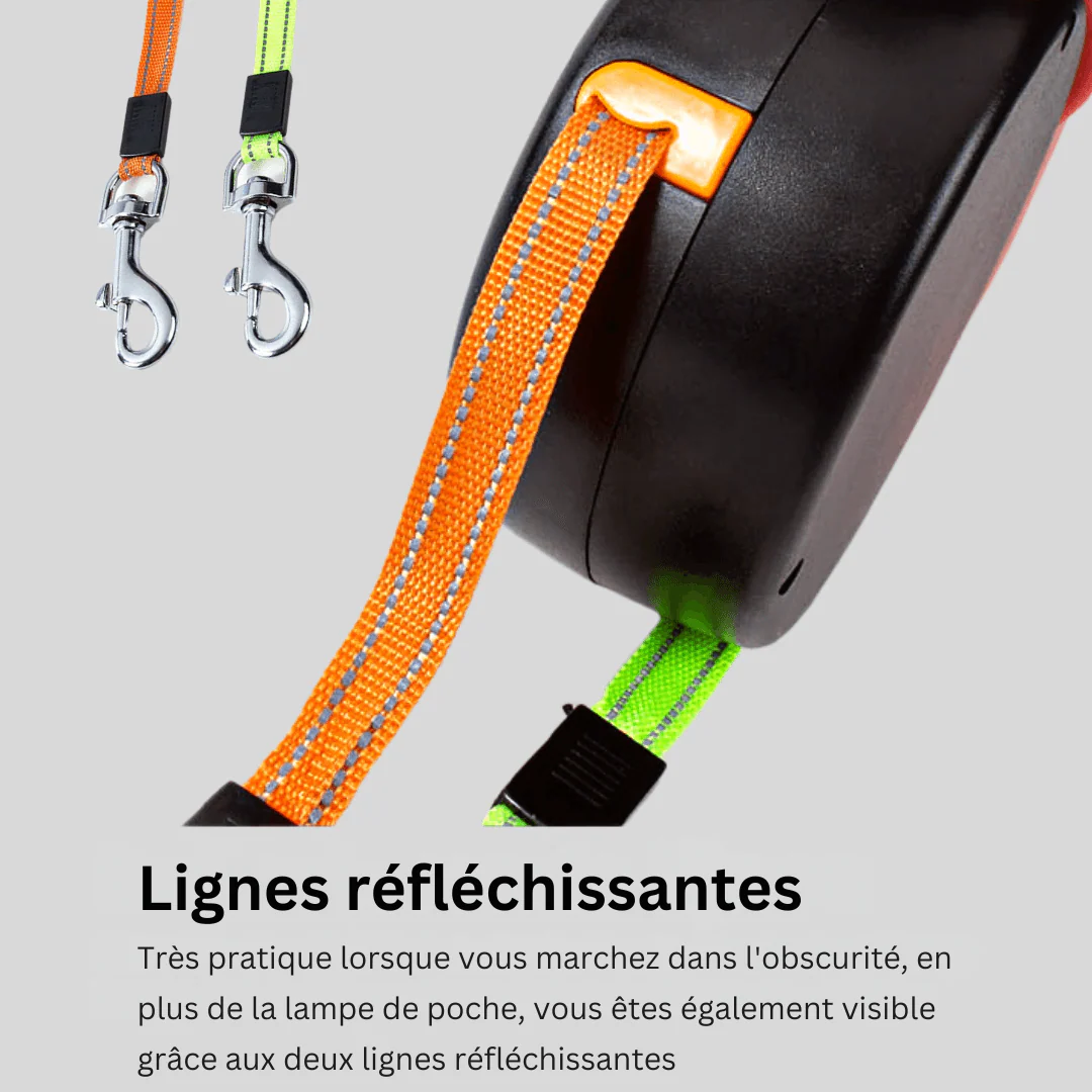 Système de laisse confortable pour promener deux chiens - Image 4