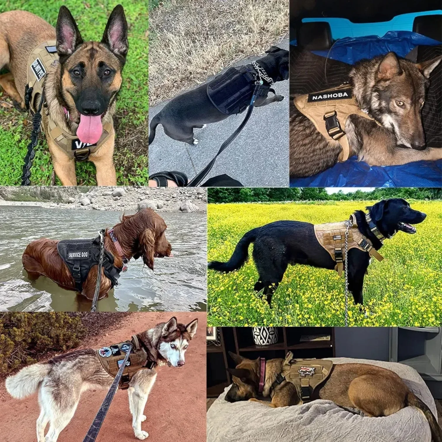 Harnais pour chien sécurisé avec ajustement réglable - Image 9