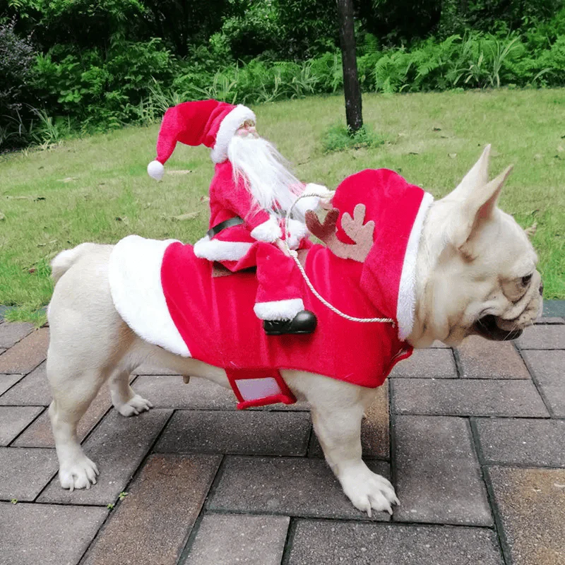 Vêtement pour chien style Père Noël - Image 4