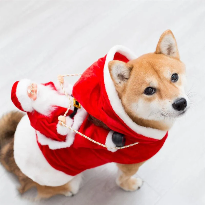 Vêtement pour chien style Père Noël - Image 6